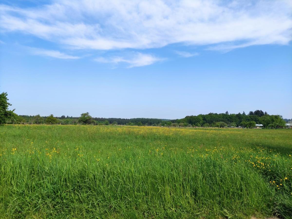 Fewo Albtaleck - Wohnen Im Kurort Waldbronn Exteriér fotografie